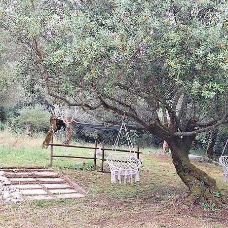Moradia rural de charme agradável e acolhedora Vila Arrimal Exterior foto