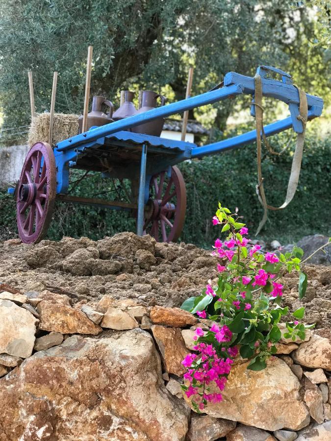 Moradia rural de charme agradável e acolhedora Vila Arrimal Exterior foto
